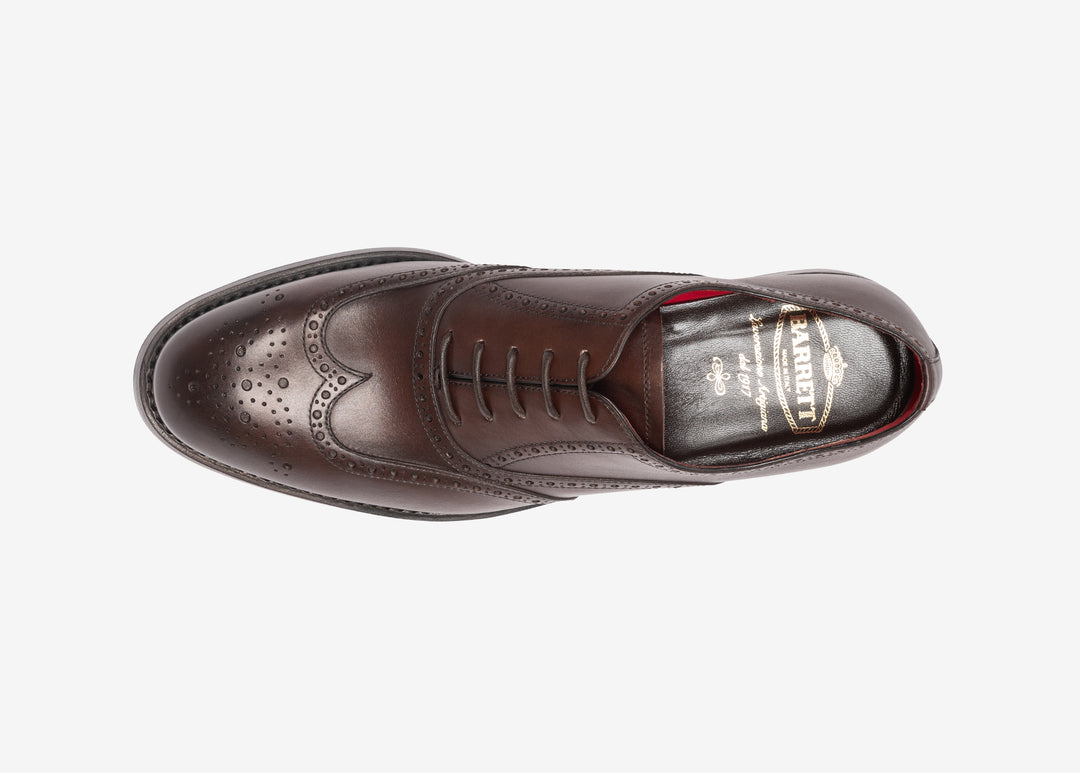 Dark brown Oxford with brogues