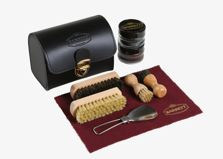 Shoe care kit